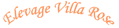 Élevage Villa Rose